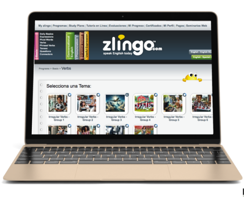 Aplicación Zlingo